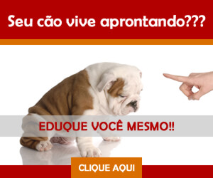 Seu cão vive aprontando? Aprenda a adestrar você mesmo. Clique aqui!